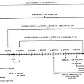 Le Temps de la Septuagésime