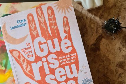 Le grand livre des guérisseuses 