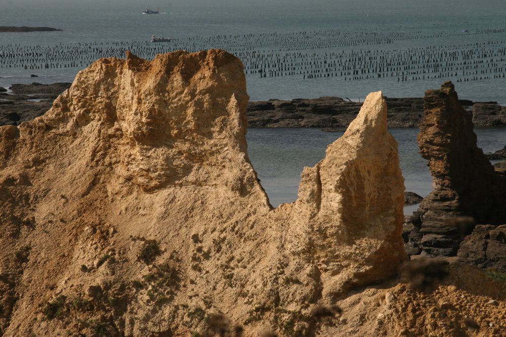 Les parcs à moules de bouchot de la Pointe du Bil