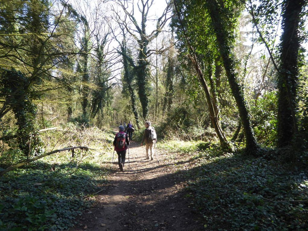 Randonnée en boucle à Boutigny-sur-Essonne - 22 km.