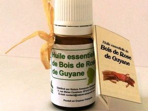 L'arbre bois de rose en Guyane (Aniba rosaeodora)