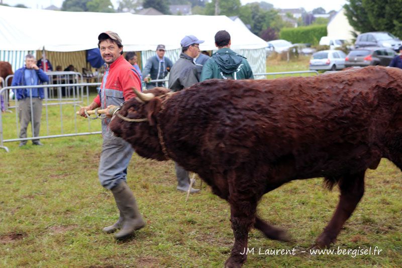 Essentiellement photos des animaux présentés par Christophe et Patricia Freyssac... mais je compléterai !