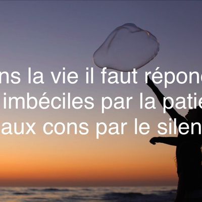 #citation 15