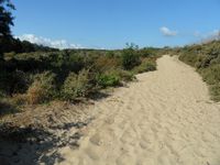 La balade des crocs. Départ Saint Quentin en Tourmont "sentier d'accès à la mer". Une balade qui commence par trois bons kilomètres dans un sentier de dune. Le sentier se termine par une belle montée, dernier effort avant d'apercevoir un magnifique panorama. La mer est loin, on est à marée basse. On peut alors apercevoir l'élevage de moules de Bouchot. On continue la balade sur l'immense plage. Ou pourrait on trouver ailleurs qu'ici une si belle plage rien que pour nous en pleine saison? Après quelques kilomètres, la mer disparait à nos yeux, on entre dans la baie. Cela fait plusieurs kilomètres que je marche pieds nus dans le sable, je m'enfonce à chaque pas, j'ai l'impression d'être dans le désert. Plus loin on aperçoit enfin un champ de lilas de mer. Encore un autre sentier de dune où l'on aperçoit les chevaux Henson du parc du Marquenterre. Puis retour à la voiture par des chemins asphaltés. 