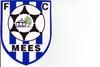 Ecole de football FC MEES