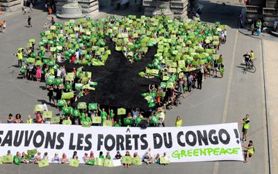 Pétition GREENPEACE : sauvez les forêts du Congo !