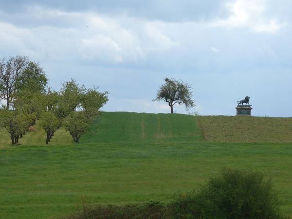 1870 - le champ de bataille WOERTH/FROESCHWILLER