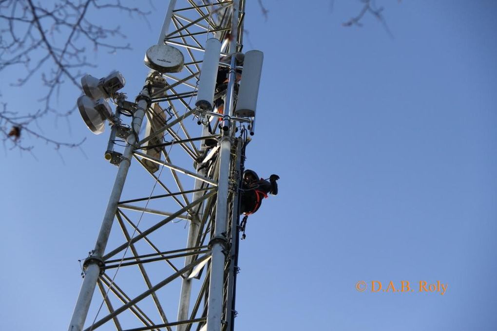 Album - Travaux-sur-le-reseau-GSM-au-bois-de-Roly