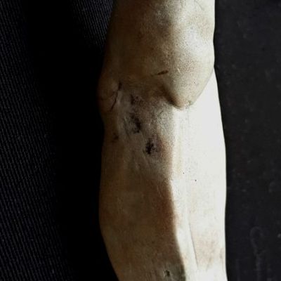 ÉVIDENCE  -Trésor de garrigues © - 639/1001 -