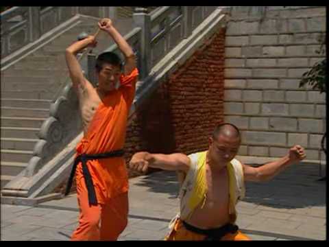 Les Pouvoirs Mysterieux Des Moines Shaolin