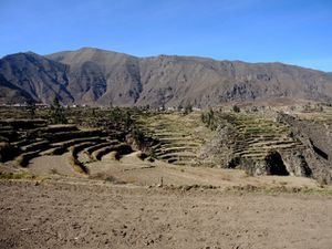 Arrivée sur les cultures en terasses de Cabanaconde après 2 heures et demi d'ascension