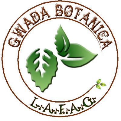 Gwada Botanica 971