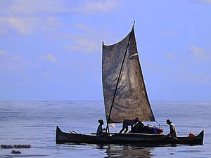 Madagascar , île nature