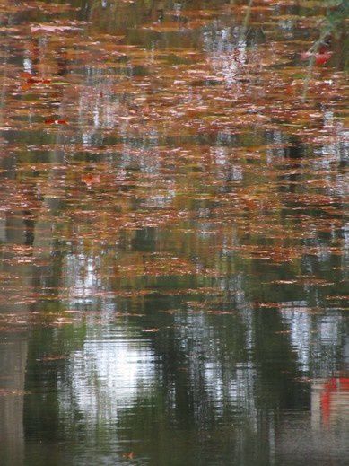 Album - Canal-du-Midi