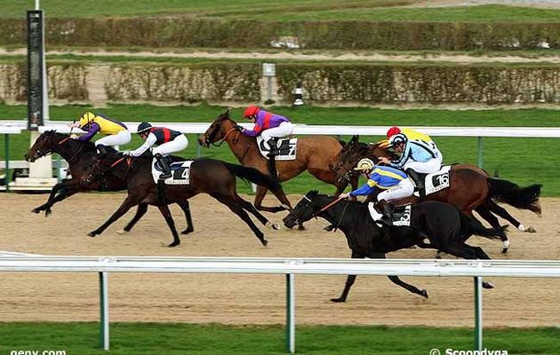 résultats-pronostics gratuits à Deauville du vendredi 6 janvier-plat