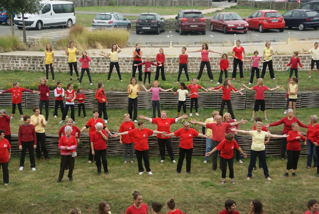 Album - FLASHMOB-2012