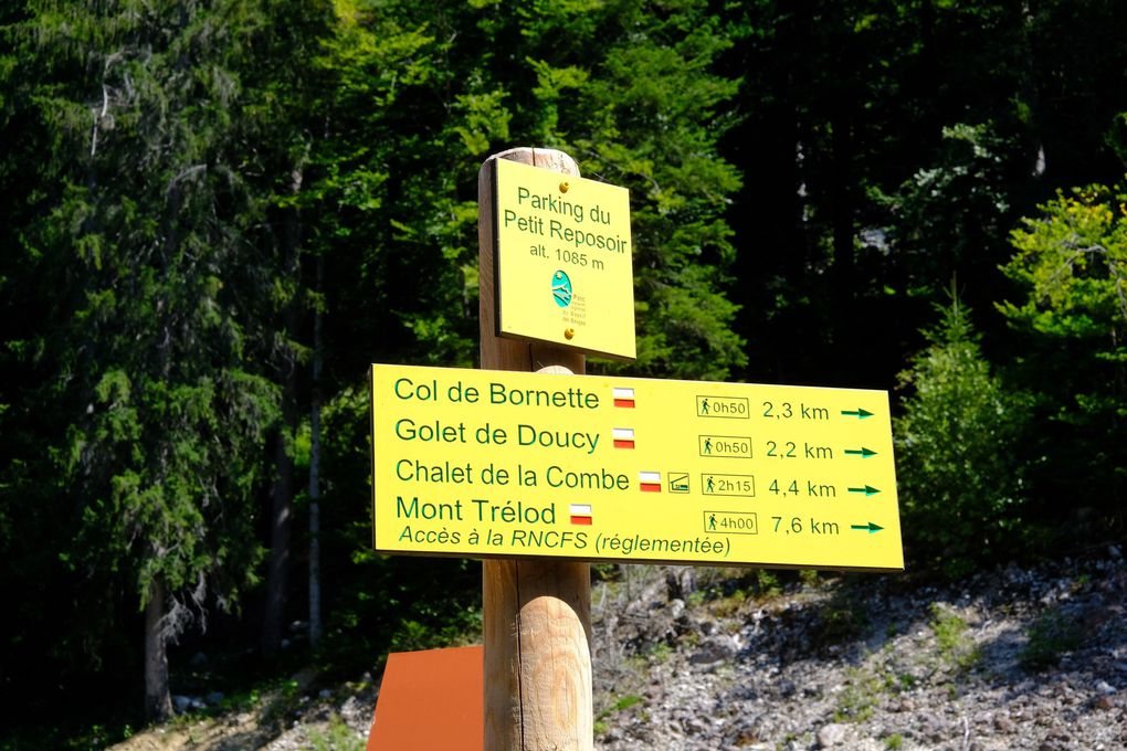 RANDO 11 - COL DE BORNETTE