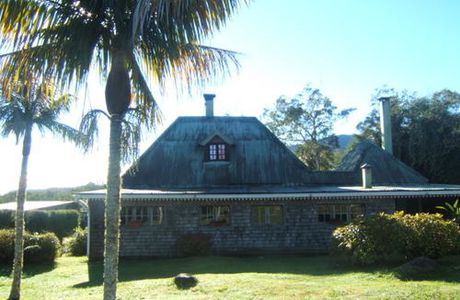 La Réunion......La forêt de Belouve....Le Trou de Fer.....