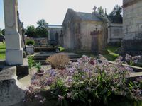 Un cimetière jardin