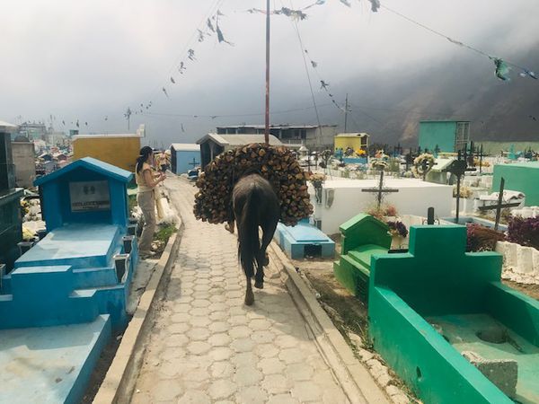 La visite est finie . Au Guatemala sur les tombes ne figurent en général que la date de décès et le jour des morts les familles viennent au cimetière avec des provisions et le plat  favori du défunt qu'ils partagent tous ensemble dans la joie  sincère et apaisée d'un repas de famille . La Toussaint comme la semaine sainte et ses processions sont 2 moments magiques ici .