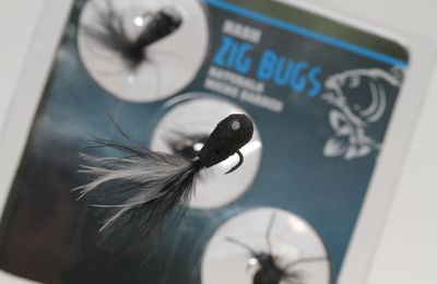 The zig Bug !!!