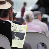 Accueil | Jazz in Marciac