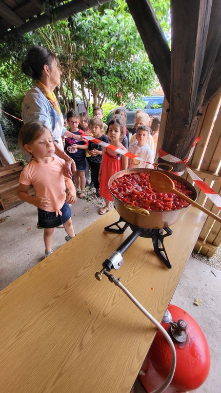 La classe de C.P et de M.S /G.S ont réalisé cette recette de   confiture de fraises ensemble.