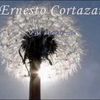 ERNESTO CORTAZAR - Fly with me