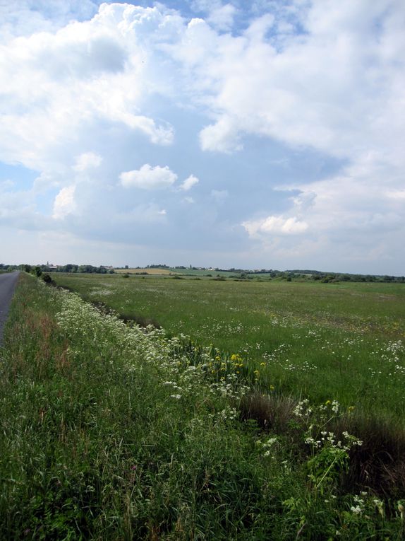 Album - pays de la loire à vélo suite