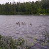 Lac Beauchamp(2)