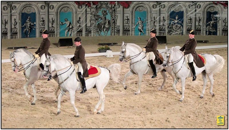 Arènes d'Arles - L'Ecole Espagnole de Vienne (Autriche) les 22,23 et 24 août 2013