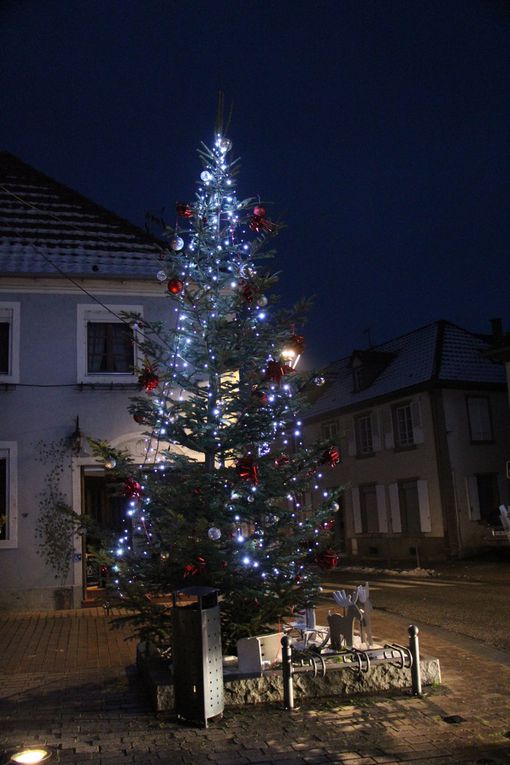 Collections de &quot;Sapins et décorations de Noël&quot;