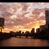 Melbourne sunset