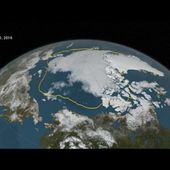 La Nasa filme l'inquiétant recul de la glace dans l'océan Arctique