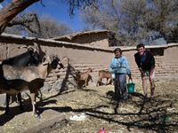 Bilan Bolivie