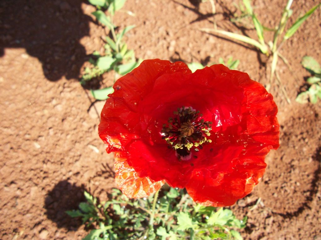 Maroc mars avril 2018