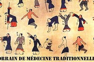 Institut Lorrain De Médecine Traditionelle Chinoise