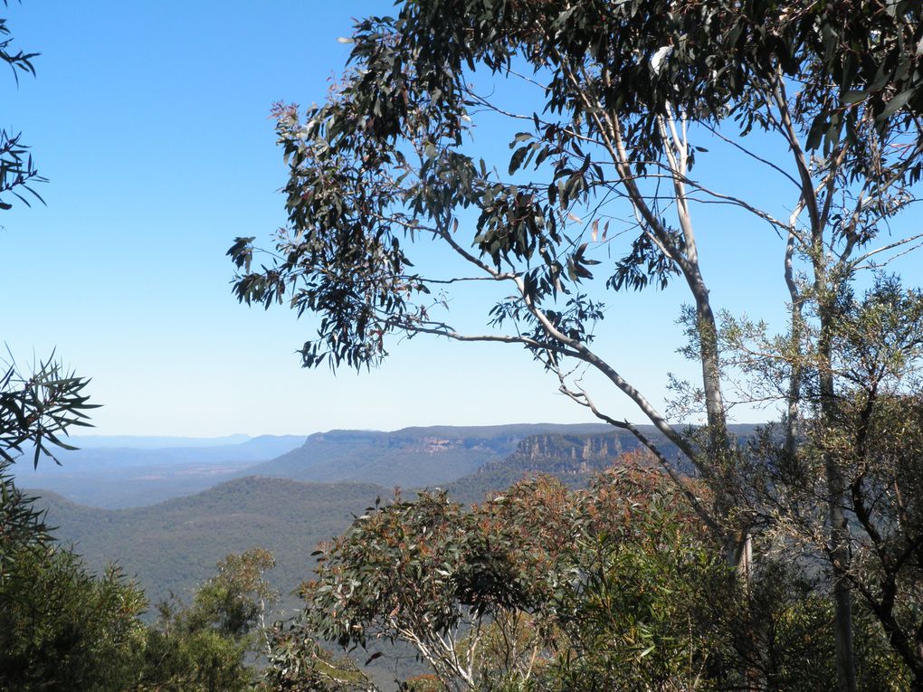 Par National des Blues Mountains, Katoomba (près de Sydney)