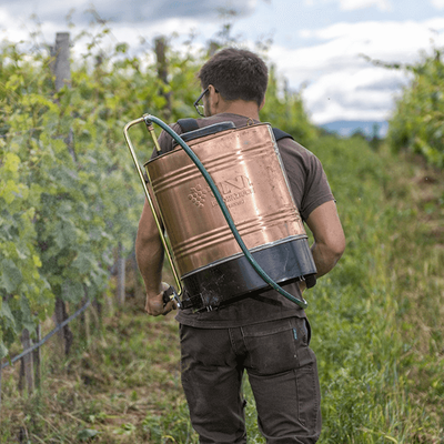 Manipulation médiatique : l'État accusé de bloquer un rapport sur l'exposition aux pesticides dans des zones viticoles