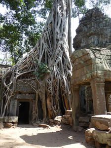 Le Cambodge fut rapide mais intense entre Siem Reap et les temples d'Angkor, Battambang et son cooking course et enfin Phnom Penh. 