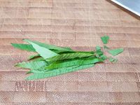 2 - Déposer 5 à 6 cuil. à soupe de crème pâtissière froide sur la tarte. Bien la répartir en une couche régulière sur la pâte. Ciseler finement la verveine. Disposer joliment les fruits sur la crème pâtissière pour décorer toute la tarte. Terminer en parsemant de verveine ciselée.