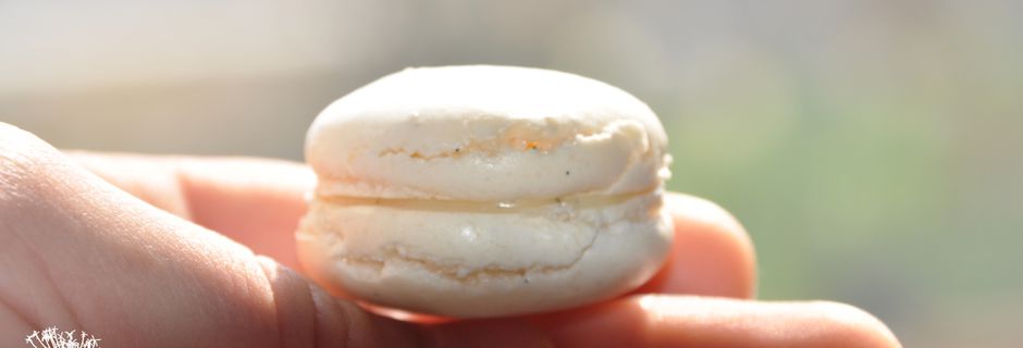 Macarons chocolat blanc vanille de Guadeloupe