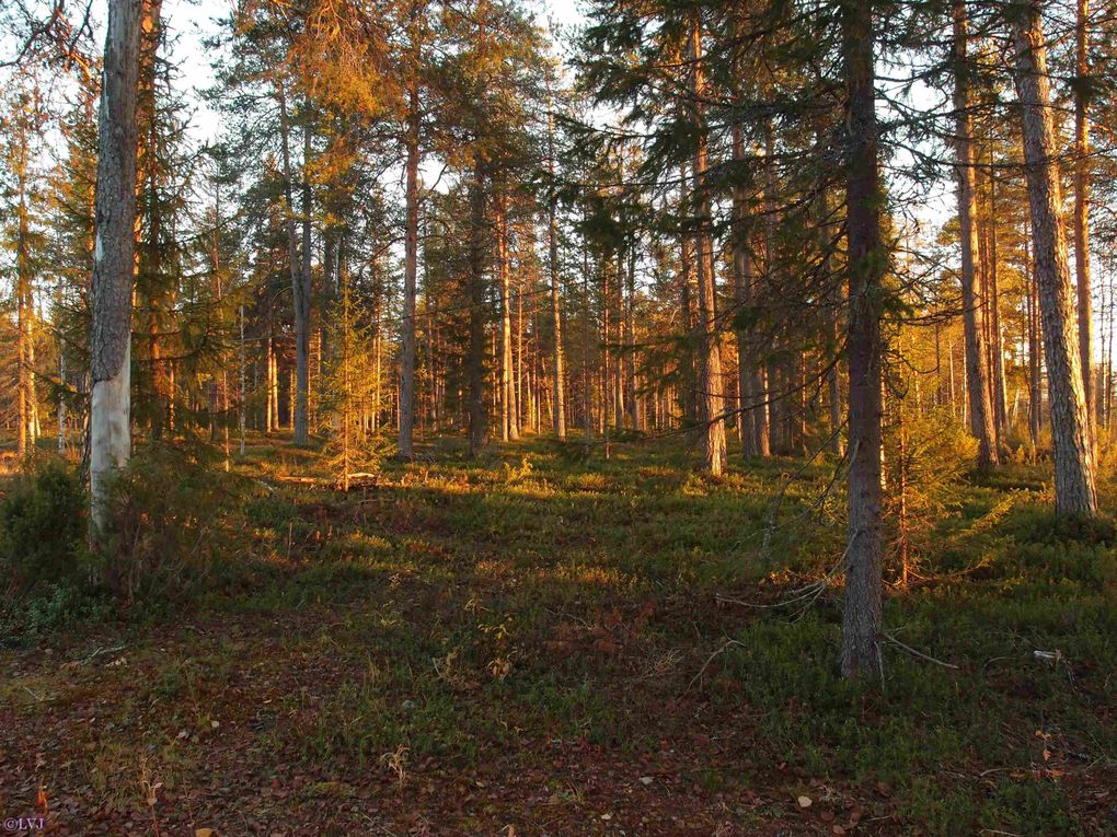 Tähtelä est le nom du hameau où se trouve l'observatoire, à 8 km du bourg de Sodankylä.