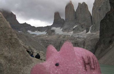 Cochonou au Torres del Paine