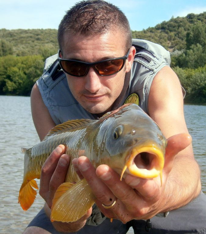 Une série de photos de carpes prise a la mouche