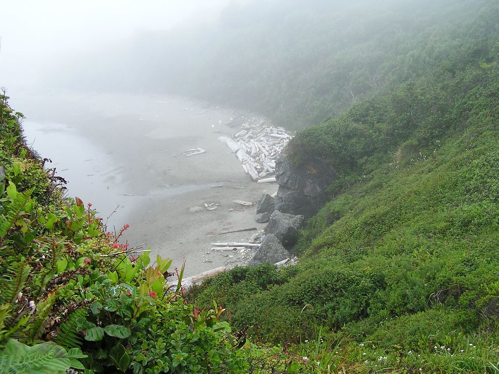 De Seattle (Etat de Washington à Crescent City (Californie), sur  une distance de 1000 kms, la côte oregonnaise offre un paysage magnifique, sauvage et grandiose où souffle l'esprit des peuples premiers, les indiens d'Amérique du Nord.