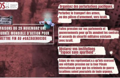Faisons du 29 novembre une journée mondiale afin d’arrêter le génocide à Gaza
