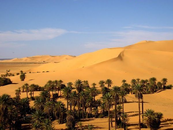 Sahara vers Béchar.