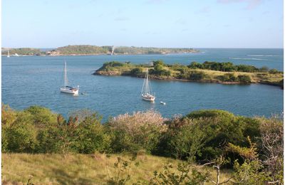 Grenada : Dernière escale au Sud de l’arc antillais