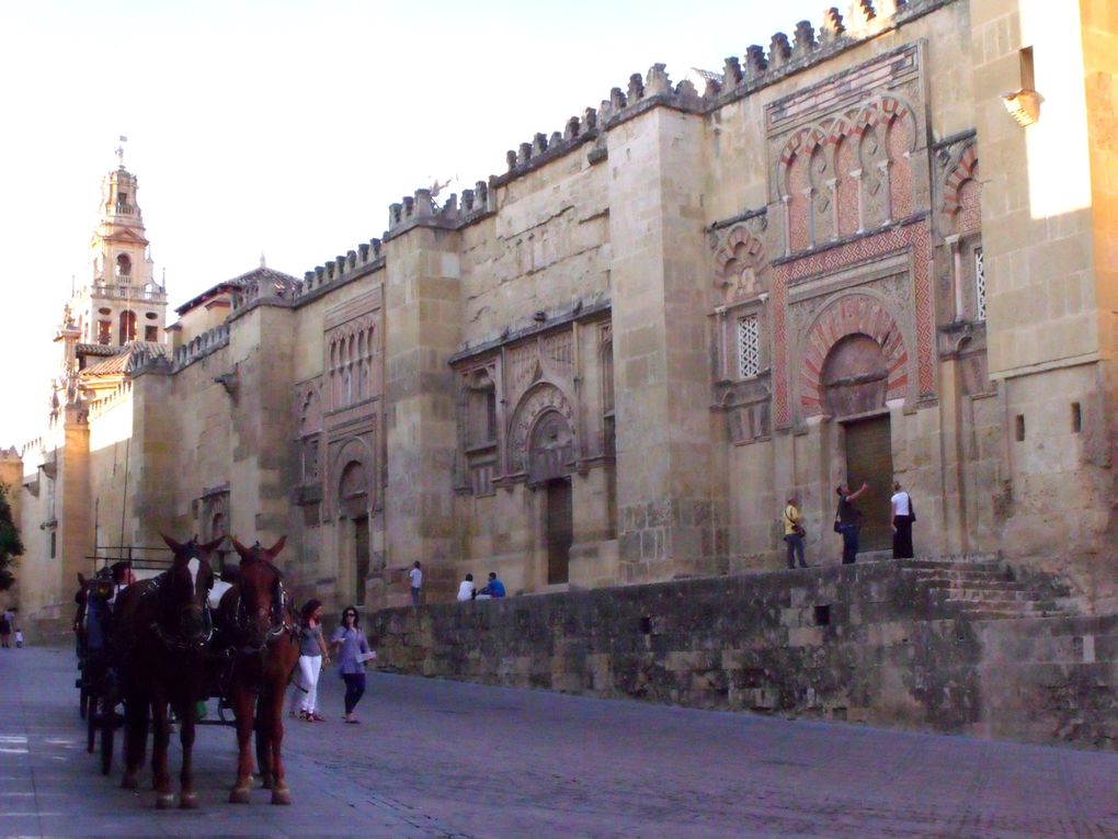 Album - 4_Cordoba-Ciudad-Mezquita